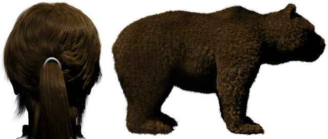 Image showing two hair models, one of a pony tail, one of a bear.
